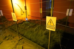 Transformacija anahate, deo I, 2025